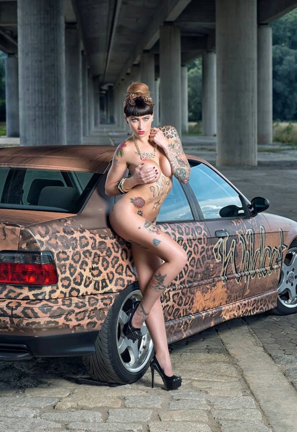 Wildcat ink cars BMW - Porn Videos & Photos - EroMe