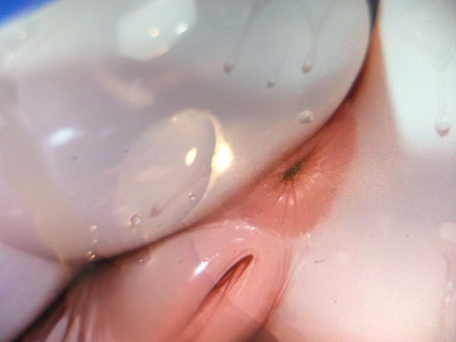 cum tribute - futa Rebecca from behind #mx1SEc0F